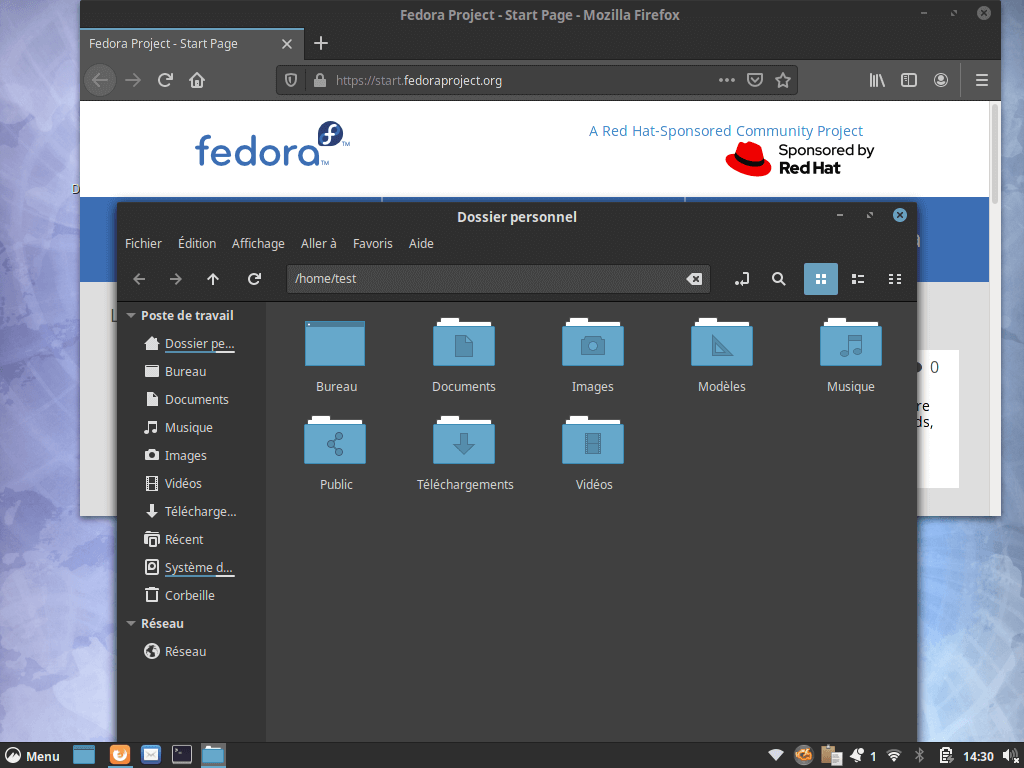 Fedora 31 - Cinnamon - Applications