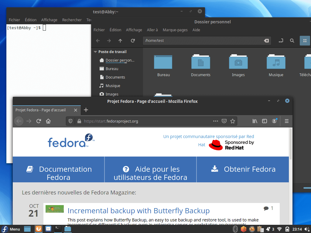 Fedora 33 - Cinnamon - Applications