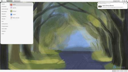 Fedora Linux 40 GNOME classique - Menu