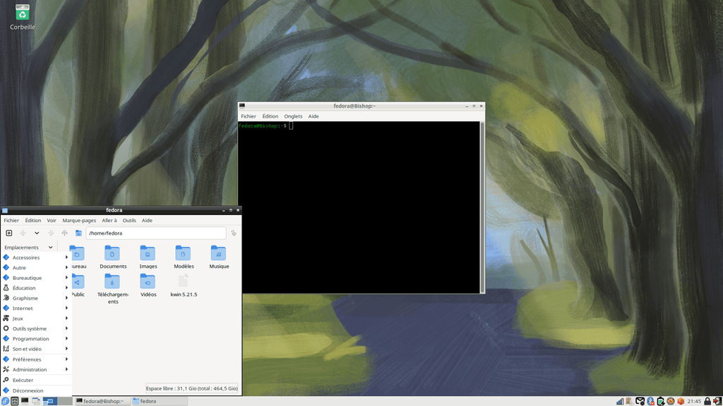 Fedora Linux 40 LXDE - Applications