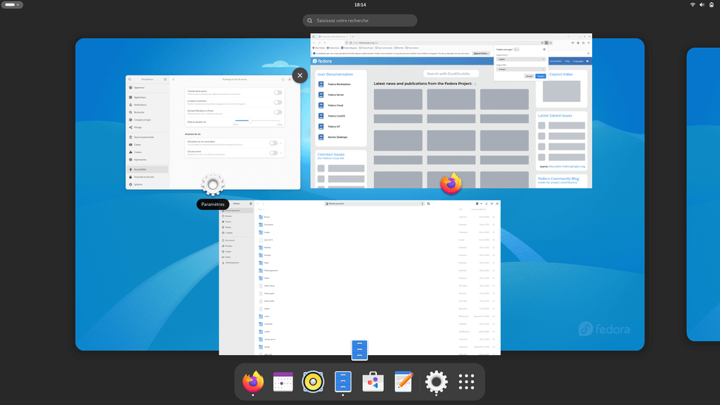 Fedora Linux 41 GNOME - Overview