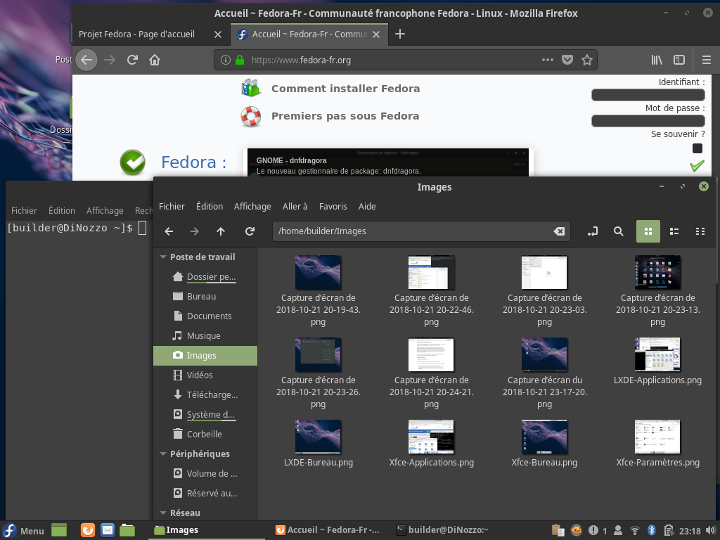 Fedora 29 - Cinnamon - Applications